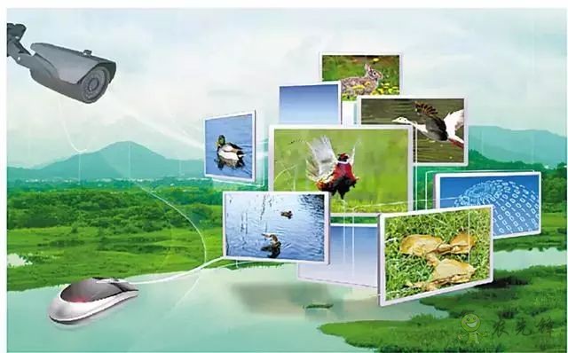 為農(nóng)業(yè)插上翅膀，物聯(lián)網(wǎng)引領(lǐng)下一個農(nóng)業(yè)時代！