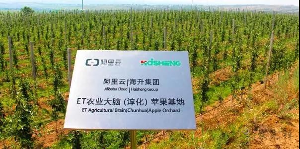 看數字農業如何為中國農業開展新道路