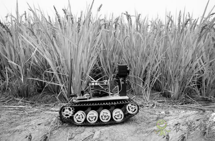 &ldquo;iDror智能農業物聯網機器人&ldquo;幫助農民解決實際問題