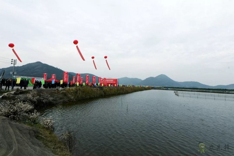 網(wǎng)易味央（三門）現(xiàn)代農(nóng)業(yè)示范園正式開工！