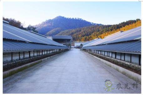 網(wǎng)易味央（三門）現(xiàn)代農(nóng)業(yè)示范園正式開工！