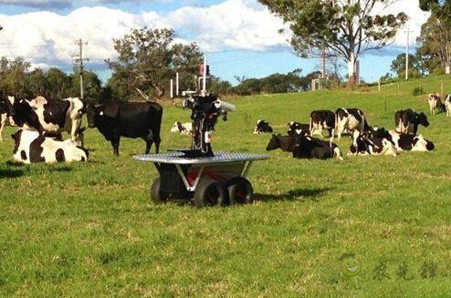 現(xiàn)場機(jī)器人,“上的了天 下的了地”