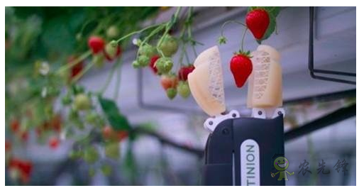 農(nóng)業(yè)機(jī)器人崛起會對農(nóng)民帶來負(fù)面影響嗎