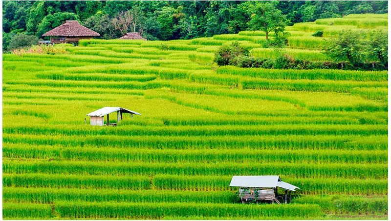 物聯網等技術如何用來測量農業(yè)