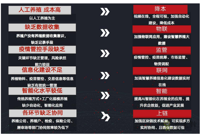 就連養(yǎng)豬都是智能化？現代農業(yè)還遠嗎？