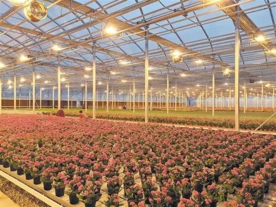 楊凌：現代科技給農業裝上&ldquo;智慧芯&rdquo;