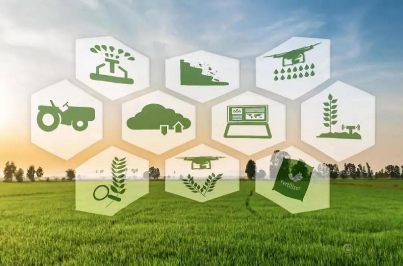 郭濤:解讀2020年中央一號文件 智慧農(nóng)業(yè)助力鄉(xiāng)村振興