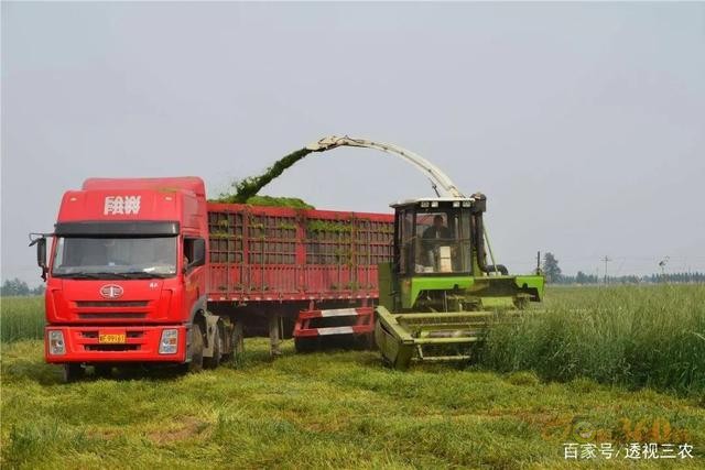 霸氣,江蘇省第一個把農業機器人納入補貼