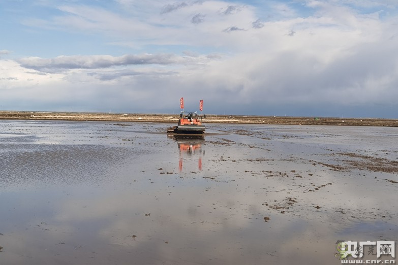 全國政協委員楊國強:發展現代農業 打造規模化無人農場