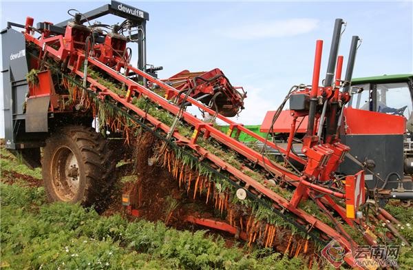 蒙自：現代農業產業成為鄉村振興&ldquo;助推器&rdquo;