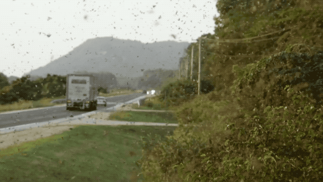 &ldquo;聯手治蝗&rdquo;巴基斯坦將在農業中投入更多如無人機等高新技術