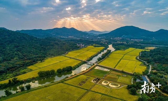 11個現代農業項目在廣州從化動工