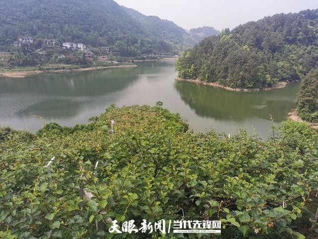 貴陽：大數(shù)據(jù)讓農(nóng)戶嘗到了智慧農(nóng)業(yè)的&ldquo;甜頭&rdquo;