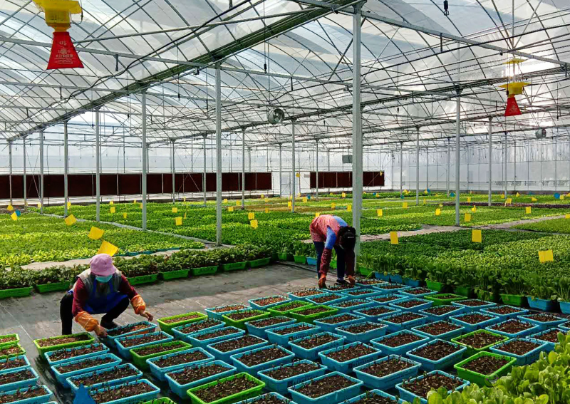 陜西加快構建現代農業&ldquo;三大體系&rdquo;