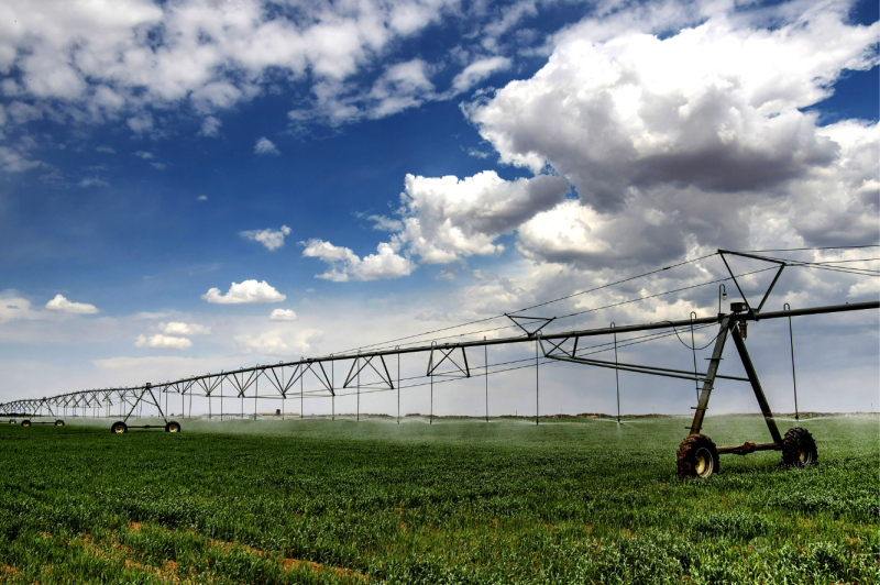 陜西加快構建現代農業&ldquo;三大體系&rdquo;