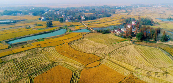 陳錫文:發展現代農業,意味著要消滅小農戶嗎?