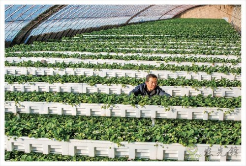 西省晉中市太谷縣國家現(xiàn)代農業(yè)產業(yè)園