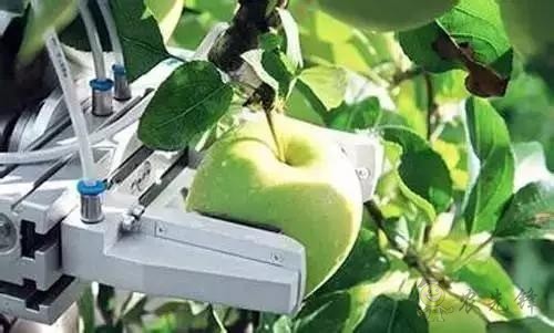 Tractica預(yù)計(jì),到2025年,農(nóng)業(yè)機(jī)器人的全球市場(chǎng)價(jià)值將達(dá)到879億美元。