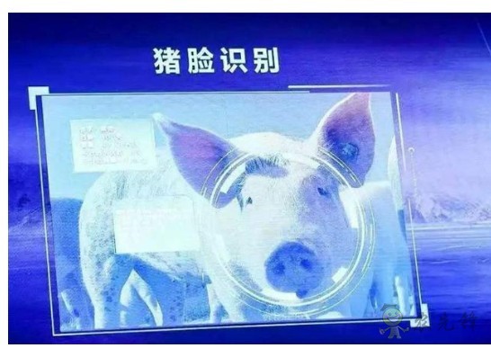 豬臉識別？&mdash;&mdash;阿里巴巴新研發(fā)智能農(nóng)業(yè)平臺