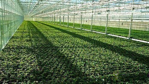 什么是以物聯網為架構的智慧農業系統？