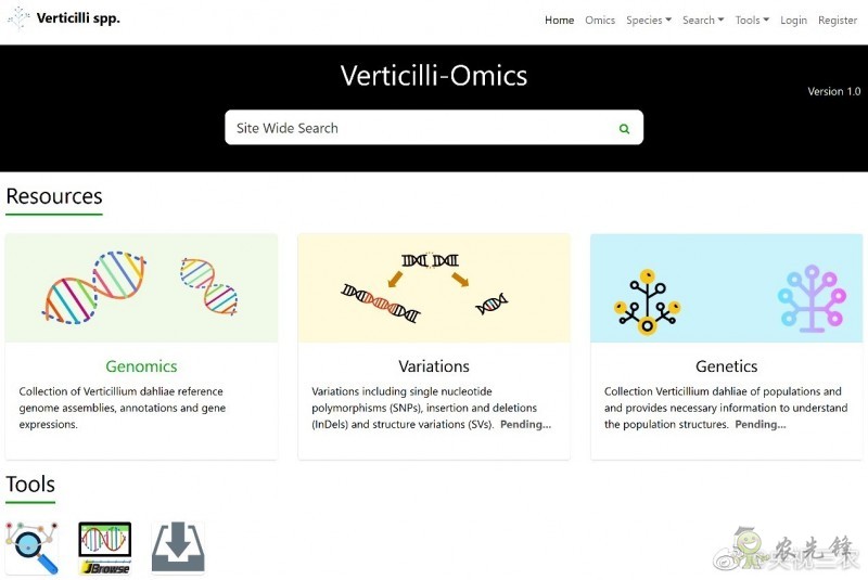 全球首個(gè)作物黃萎病菌資源和基因組數(shù)據(jù)庫(kù)正式上線