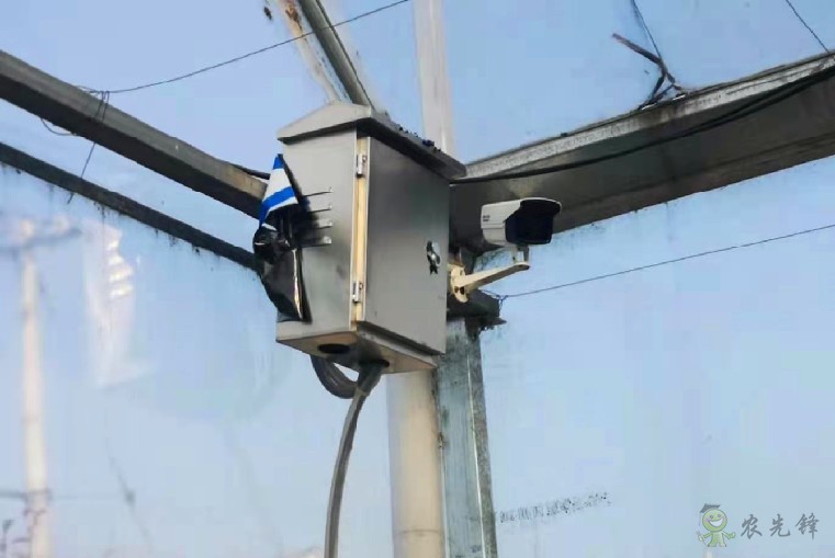 現(xiàn)代農(nóng)業(yè)