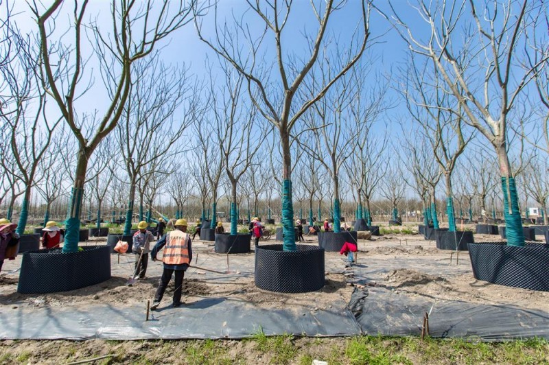 農(nóng)業(yè)展會