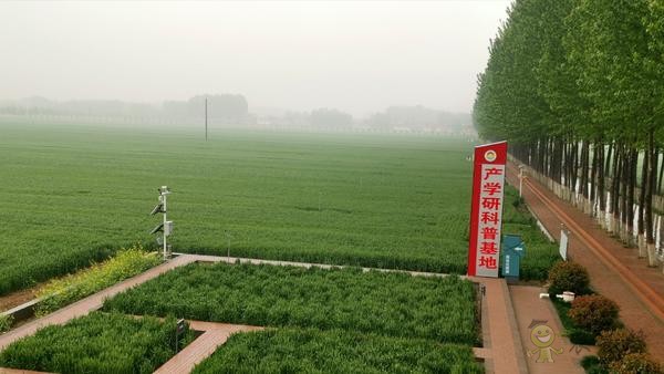 河南尉氏縣：5G+智慧農業(yè) 農田里有了這些&ldquo;黑科技&rdquo;