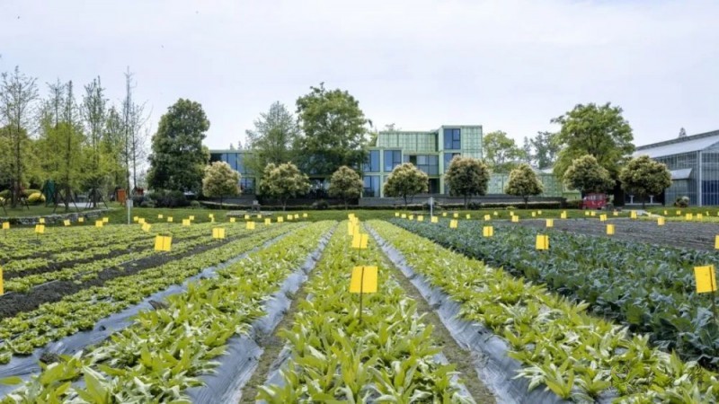 美國(guó)科學(xué)院研究報(bào)告：農(nóng)業(yè)領(lǐng)域亟待突破的五大研究方向