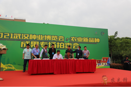 大豆新品種&ldquo;中豆63&rdquo;競拍出1500萬元高價