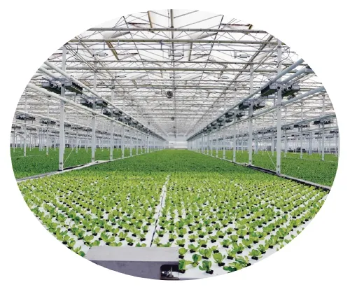 楊凌：強(qiáng)化使命擔(dān)當(dāng)　交好&ldquo;上合答卷&rdquo;