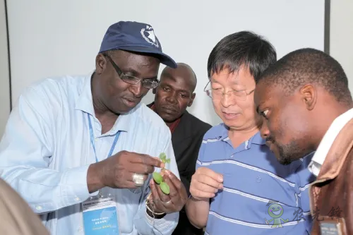 楊凌：強(qiáng)化使命擔(dān)當(dāng)　交好&ldquo;上合答卷&rdquo;