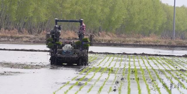 為什么要使用智能農(nóng)機(jī)?