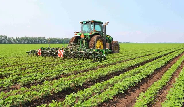 行間智能除草&ldquo;機(jī)器人&rdquo;