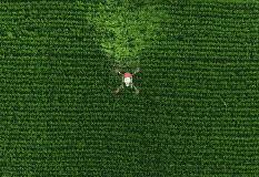 夏季暴雨對農(nóng)業(yè)生產(chǎn)的影響及減災措施