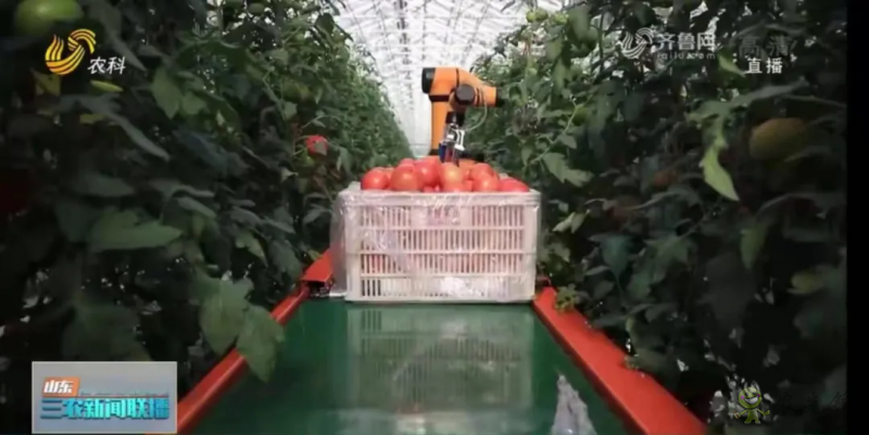 &ldquo;壽光標準&rdquo;向全國輸出 推動蔬菜產業提檔升級