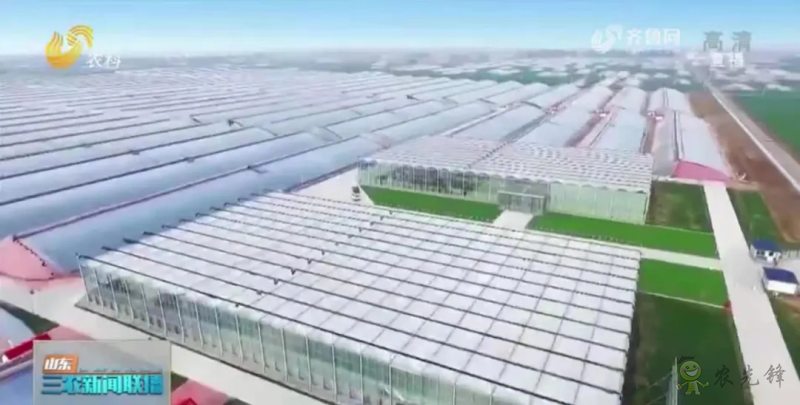 &ldquo;壽光標準&rdquo;向全國輸出 推動蔬菜產業提檔升級