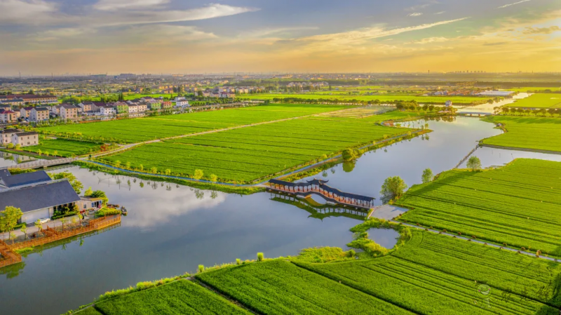 蘇州市：探索實(shí)踐農(nóng)業(yè)農(nóng)村現(xiàn)代化蘇州路徑