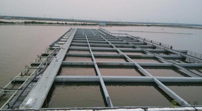 2021年農(nóng)業(yè)農(nóng)村部重大引領(lǐng)性技術(shù)發(fā)布!