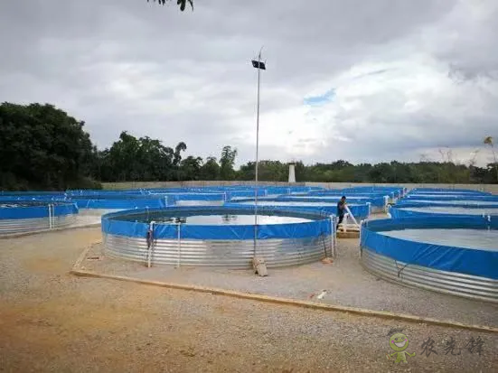 2021年農(nóng)業(yè)農(nóng)村部重大引領(lǐng)性技術(shù)發(fā)布!