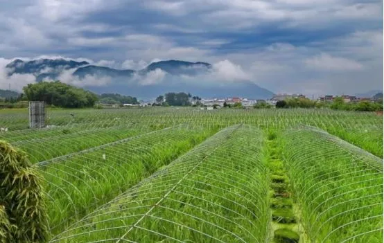 【政策】中央財政支持17個省份試點綠色種養循環農業(附通知)