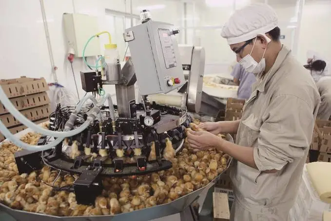 江蘇描繪現(xiàn)代畜牧業(yè)高質(zhì)量發(fā)展的&ldquo;現(xiàn)實(shí)模樣&rdquo;