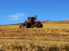 數字化時代，信息化育種的實施步驟和要點