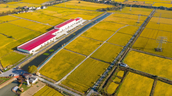 &ldquo;星光農(nóng)業(yè)模式&rdquo;打造湖州科技強(qiáng)農(nóng)樣本