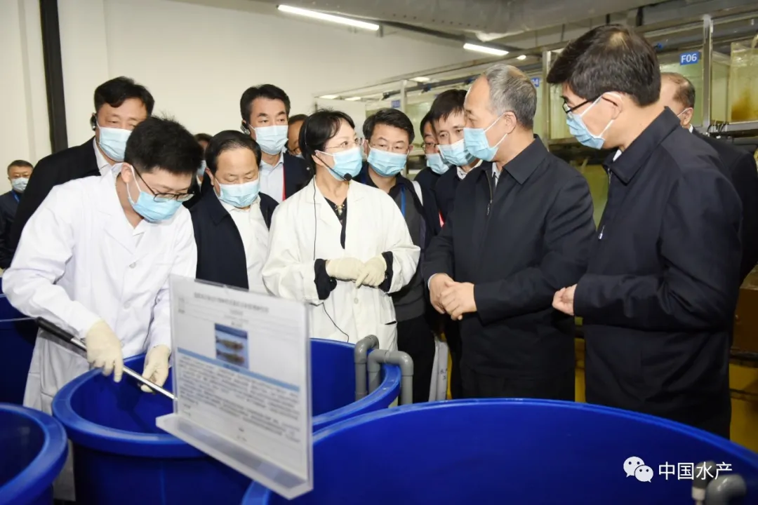 農(nóng)業(yè)農(nóng)村部召開全國水產(chǎn)種業(yè)振興行動工作推進會