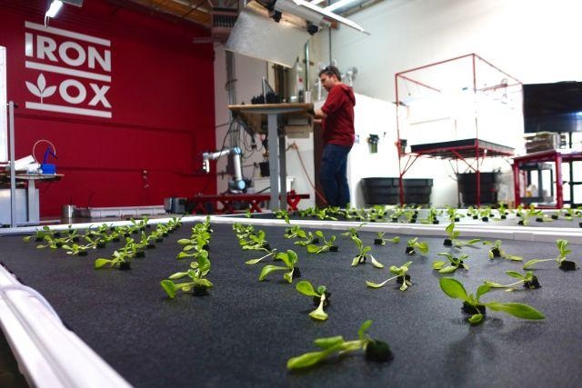 美國研發(fā)智慧農(nóng)場，未來蔬菜將由機(jī)器人種植