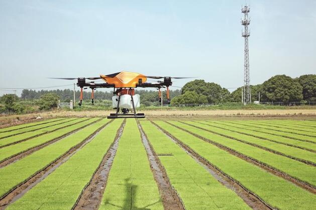 無人機噴灑農(nóng)藥