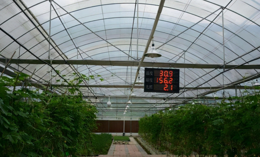 農業物聯網是什么？對農業的好處到底在哪里？