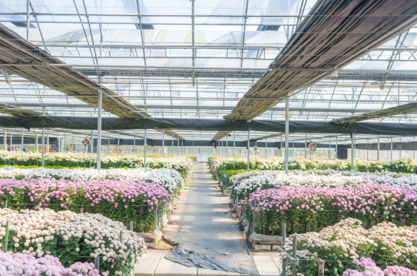 智慧農業(yè)未來:物聯(lián)網+農業(yè):連接性如何改變農業(yè)