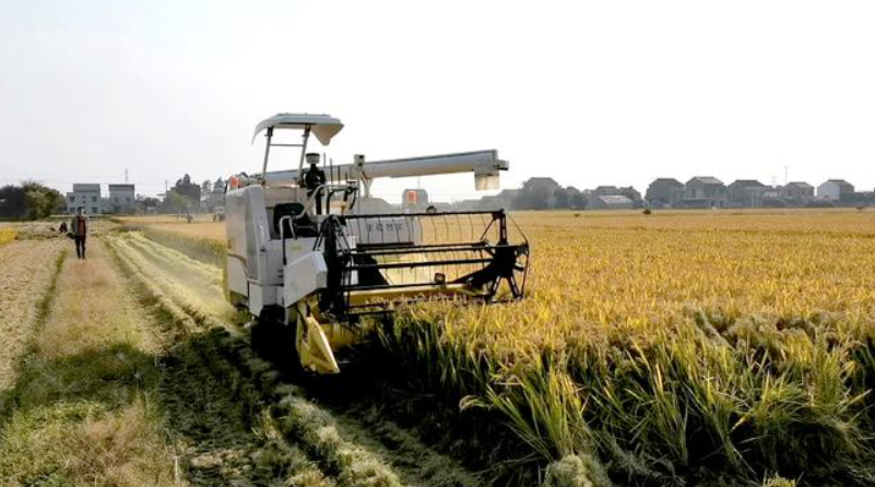 豐疆智能:加速落地“無人農場”,賦能鄉村振興!